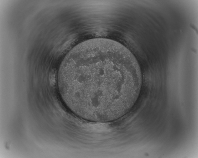 X0000102770032200809021039