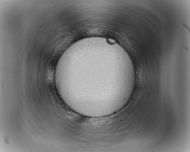 X0000102770033200809021039