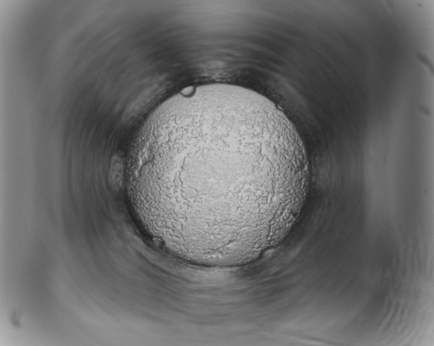 X0000102770036200809021039