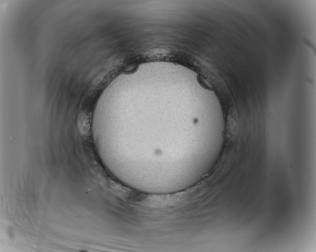 X0000102770037200809021039