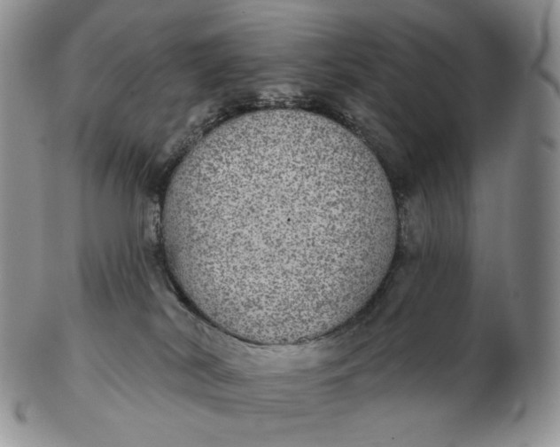 X0000102770038200809021039