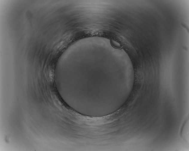 X0000102770039200809021039