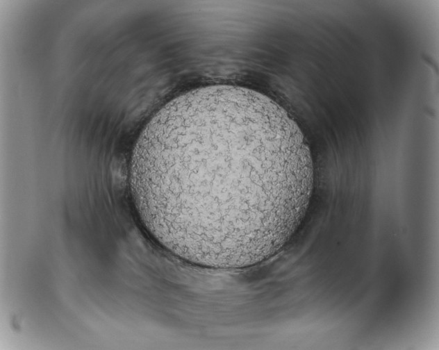 X0000102770040200809021039