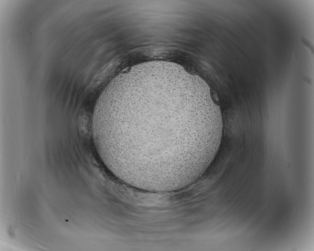 X0000102770044200809021039