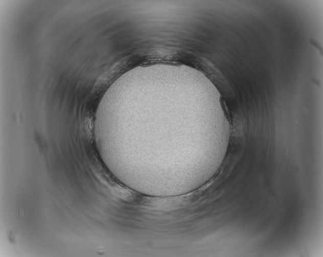 X0000102770045200809021039