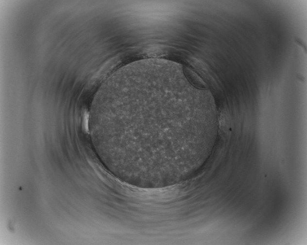 X0000102770046200809021039