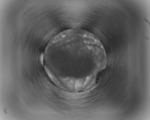 X0000102770047200809021039