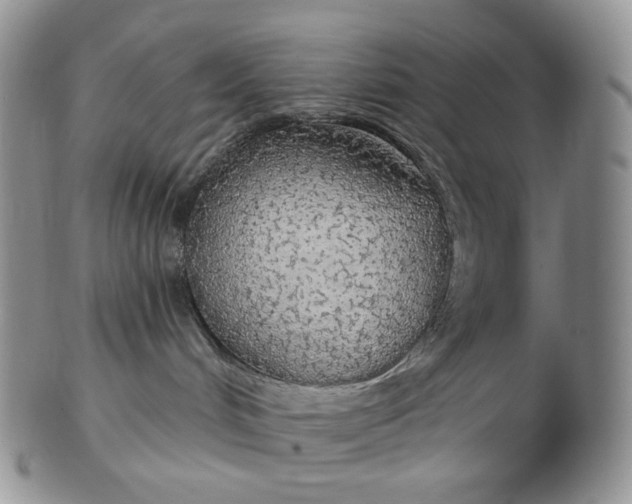 X0000102770048200809021039