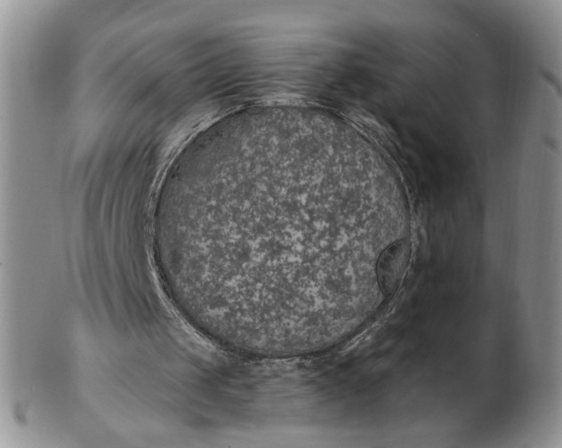 X0000102770049200809021038