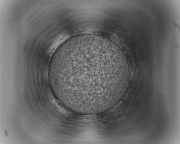 X0000102770050200809021038