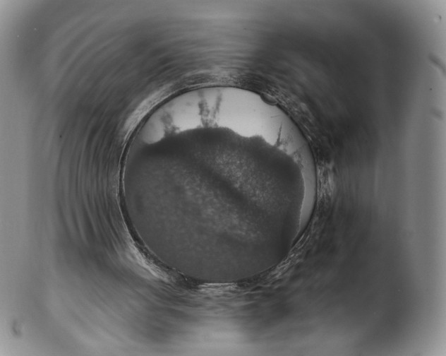 X0000102770051200809021038