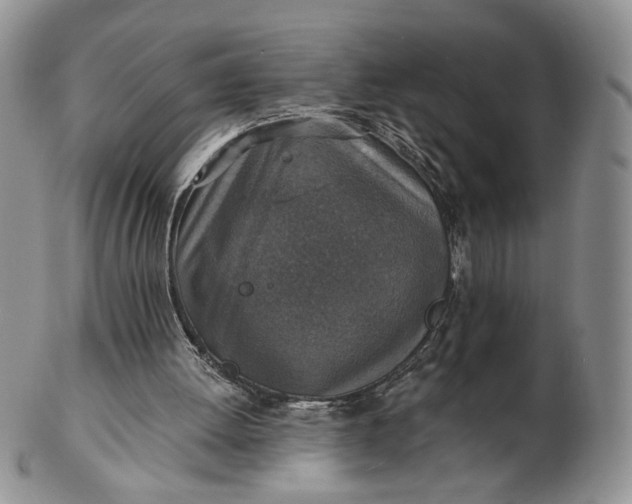 X0000102770052200809021038