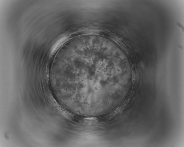 X0000102770053200809021038