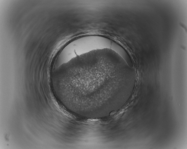 X0000102770055200809021039