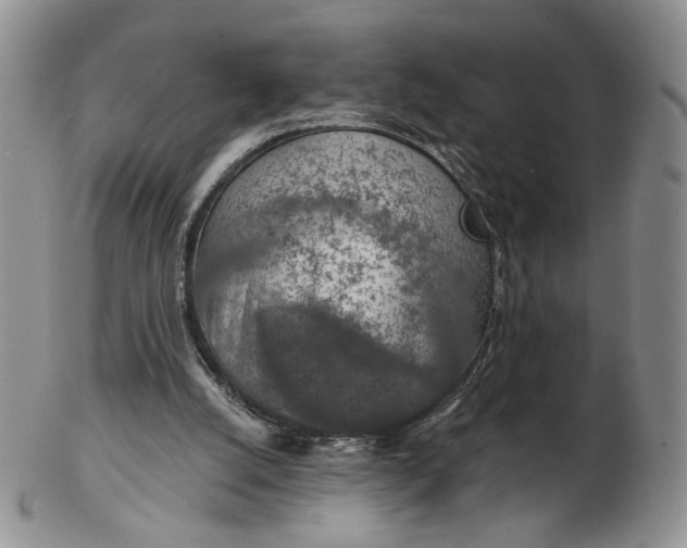 X0000102770056200809021039