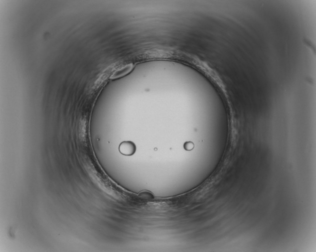 X0000102770057200809021039