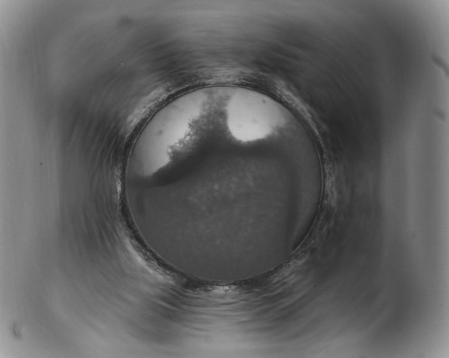 X0000102770059200809021039