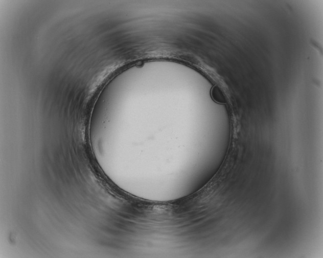 X0000102770060200809021039