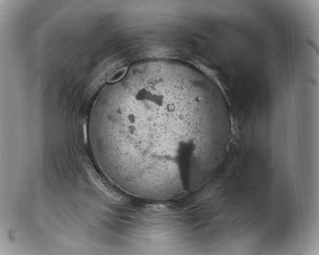 X0000102770061200809021039