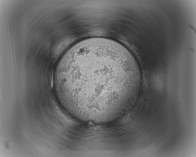 X0000102770062200809021039