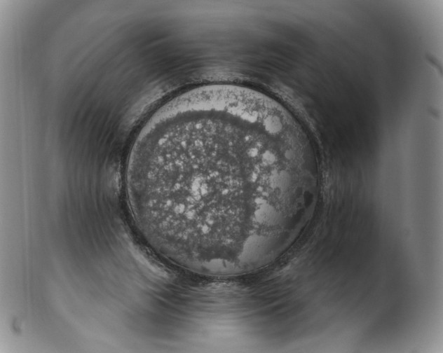 X0000102770063200809021039