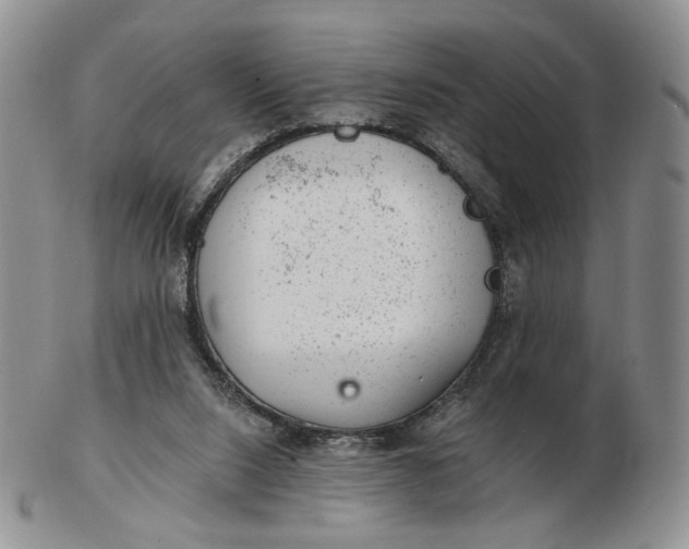 X0000102770064200809021039