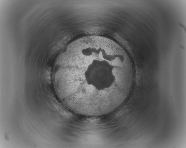 X0000102770065200809021039