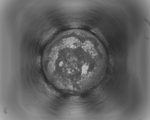 X0000102770066200809021039