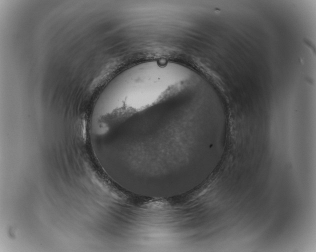 X0000102770067200809021039