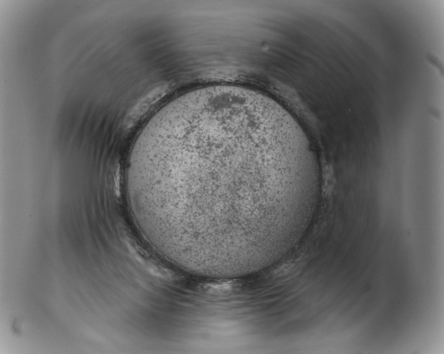 X0000102770068200809021039