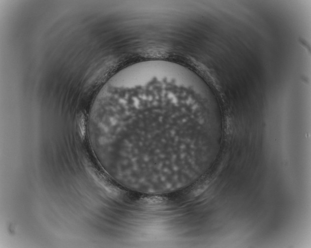 X0000102770069200809021039