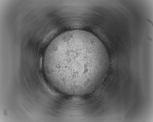 X0000102770070200809021039