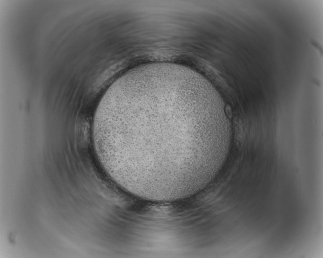 X0000102770071200809021039