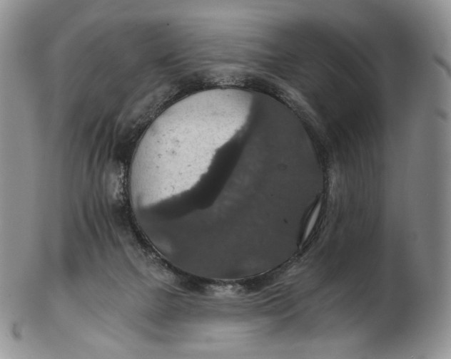 X0000102770073200809021039