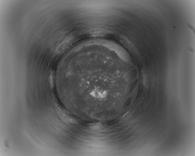 X0000102770074200809021039