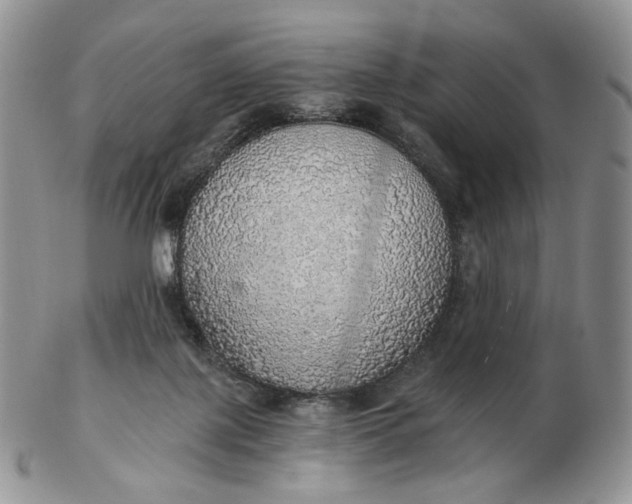 X0000102770075200809021039