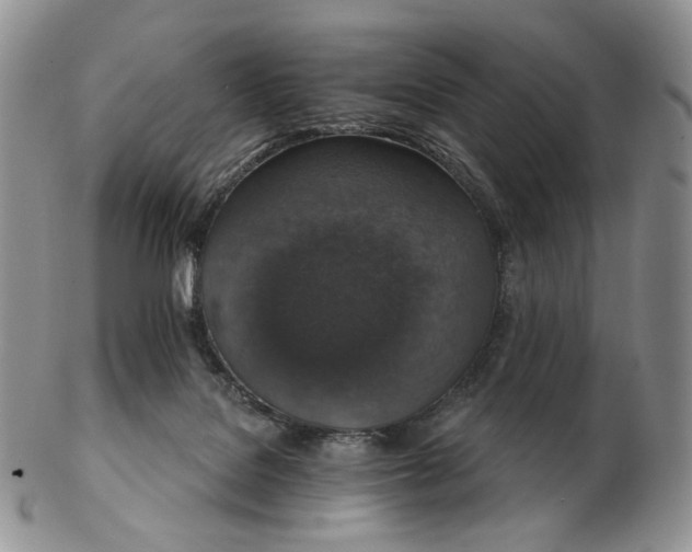 X0000102770076200809021039