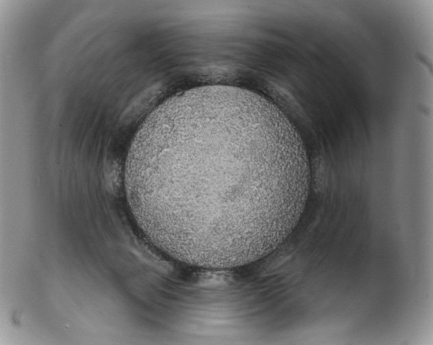 X0000102770077200809021039