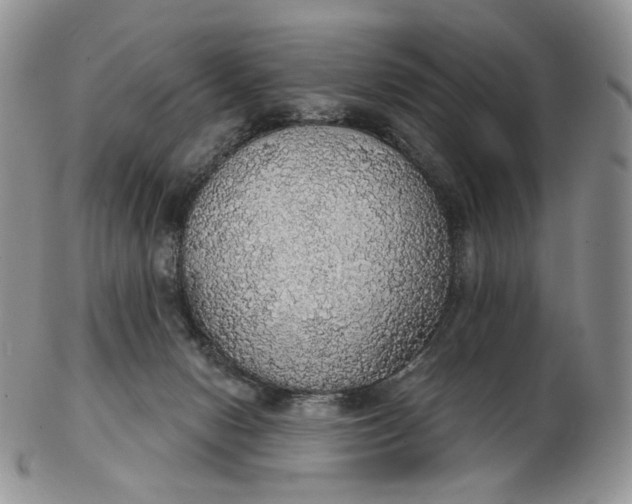 X0000102770078200809021039