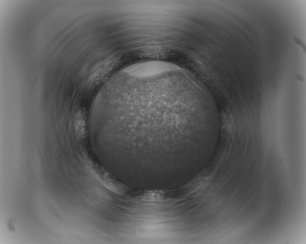 X0000102770080200809021039