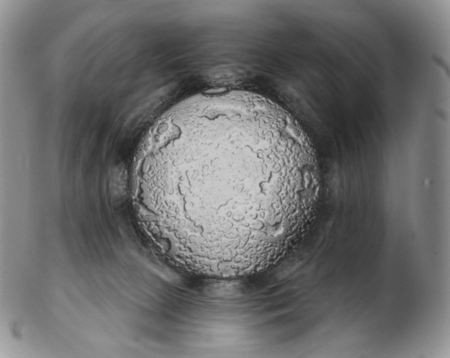 X0000102770081200809021039