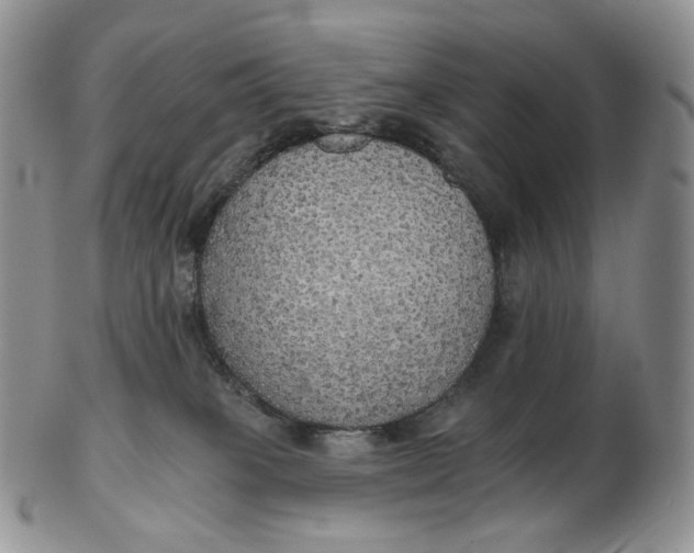 X0000102770085200809021039