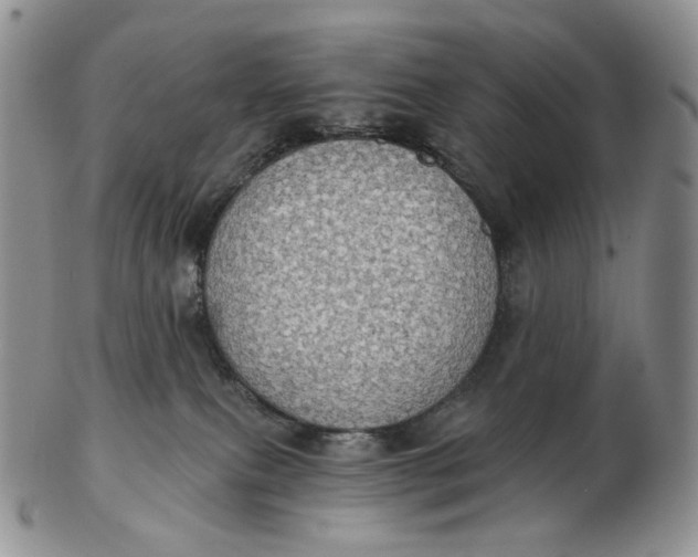 X0000102770087200809021039