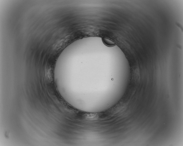 X0000102770088200809021039