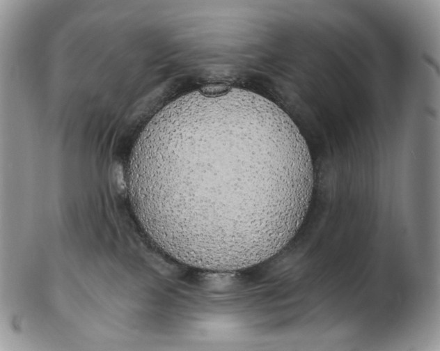 X0000102770089200809021039