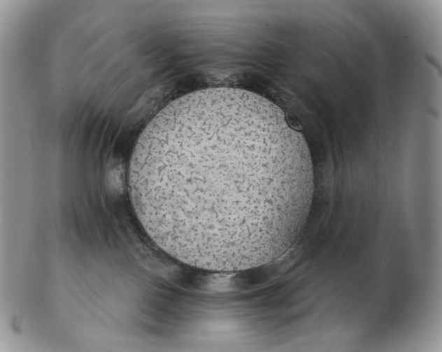 X0000102770090200809021039