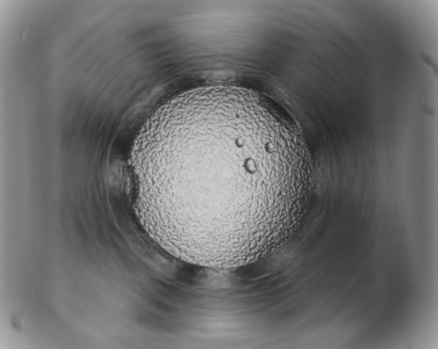 X0000102770093200809021039