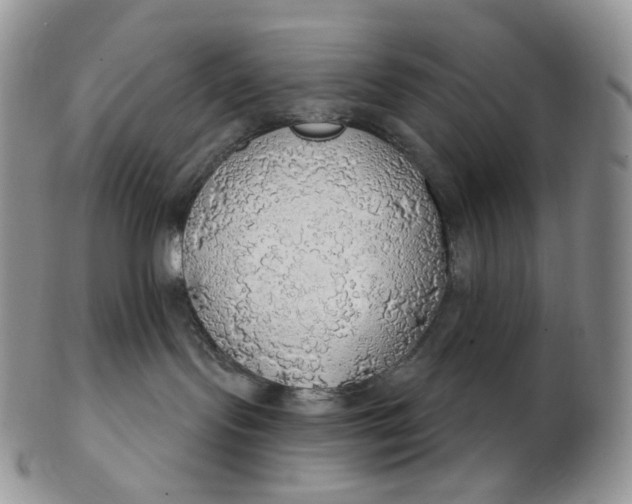 X0000102770095200809021039