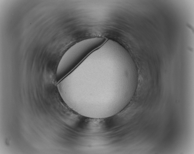 X0000102770096200809021039