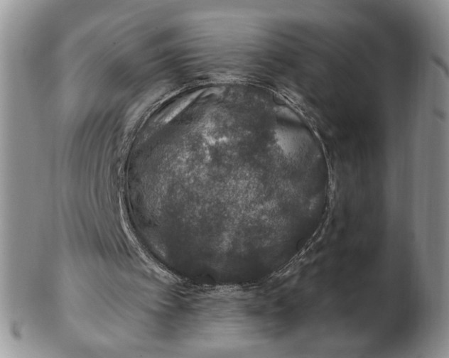 X0000102770097200809021038